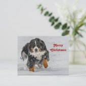 Bernese Mountain Dog Sneeuwfoto met Kerstmis Briefkaart (Staand voorkant)