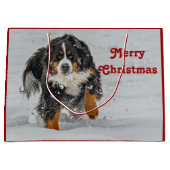 Bernese Mountain Dog Sneeuwfoto met Kerstmis Groot Cadeauzakje (Voorkant)