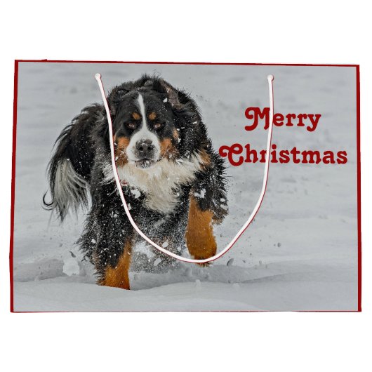 Bernese Mountain Dog Sneeuwfoto met Kerstmis Groot Cadeauzakje (Achterkant)