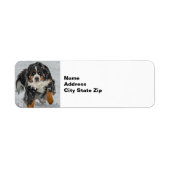 Bernese Mountain Dog Snow Foto Etiket (Voorkant)