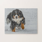 Bernese Mountain Dog Snow Foto Legpuzzel (Horizontaal)
