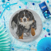 Bernese Mountain Dog Snow Foto Papieren Bordje (Feest)
