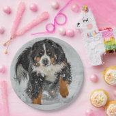 Bernese Mountain Dog Snow Foto Papieren Bordje (Feest)