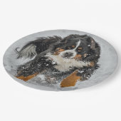Bernese Mountain Dog Snow Foto Papieren Bordje (Gekanteld)