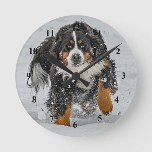 Bernese Mountain Dog Snow Foto Ronde Klok (Voorkant)