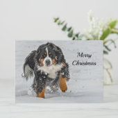 Bernese Mountain Dog Snow-kerstfoto Feestdagenkaart (Staand voorkant)
