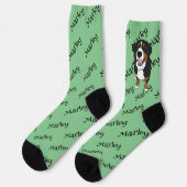 Bernese Mountain Dog Sokken (Links)