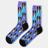 Bernese Mountain Dog Sokken (Links)