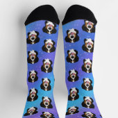 Bernese Mountain Dog Sokken (Top)