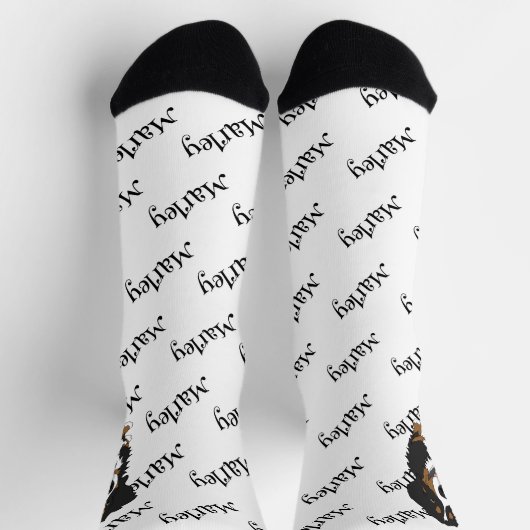 Bernese Mountain Dog Sokken (Top)