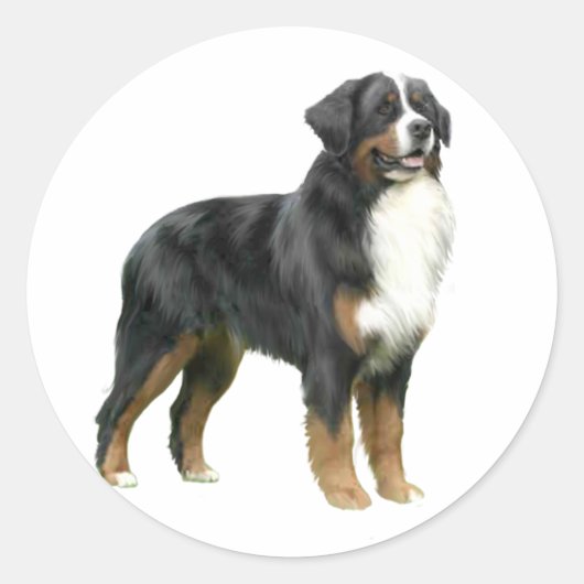 Bernese Mountain Dog - staand Ronde Sticker (Voorkant)