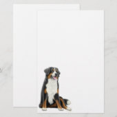 Bernese Mountain Dog Stationery Briefpapier (Voorkant / Achterkant)