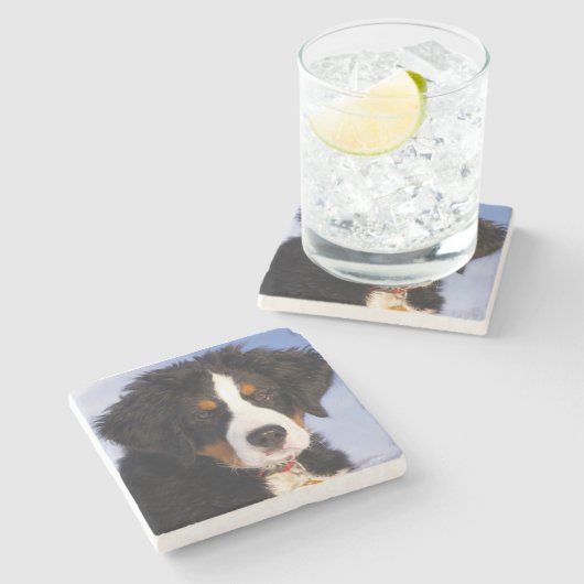 Bernese Mountain Dog Stenen Onderzetter (Zijkant)