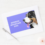 Bernese Mountain Dog Stickers (Envelop)