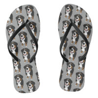 Bernese Mountain Dog