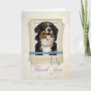 Bernese Mountain Dog Thank You Card Bedankkaart