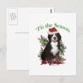 Bernese Mountain Dog "Tis Briefkaart (Voorkant / Achterkant)