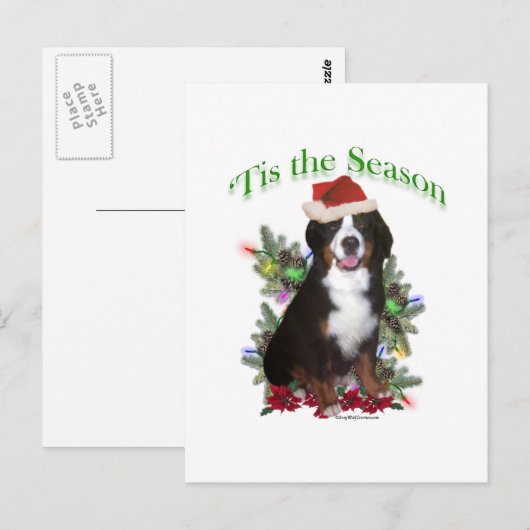 Bernese Mountain Dog "Tis Briefkaart (Voorkant / Achterkant)