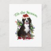 Bernese Mountain Dog "Tis Briefkaart (Voorkant)