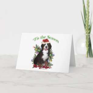 Bernese Mountain Dog "Tis Feestdagen Kaart