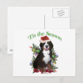 Bernese Mountain Dog "Tis Feestdagenkaart (Voorkant / Achterkant)