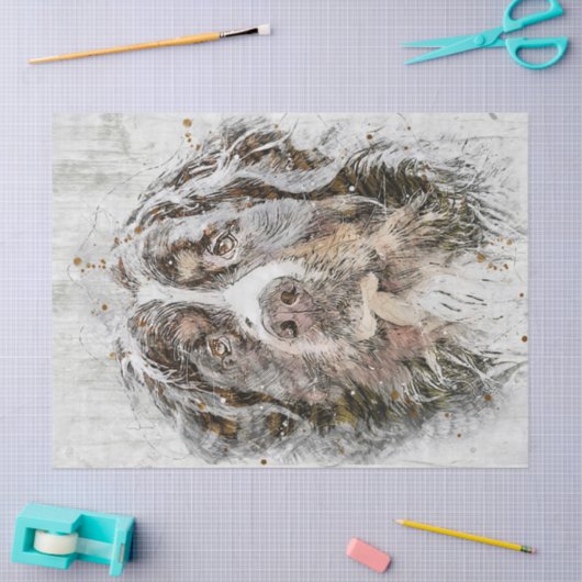 Bernese Mountain Dog Tissuepapier (Craft)