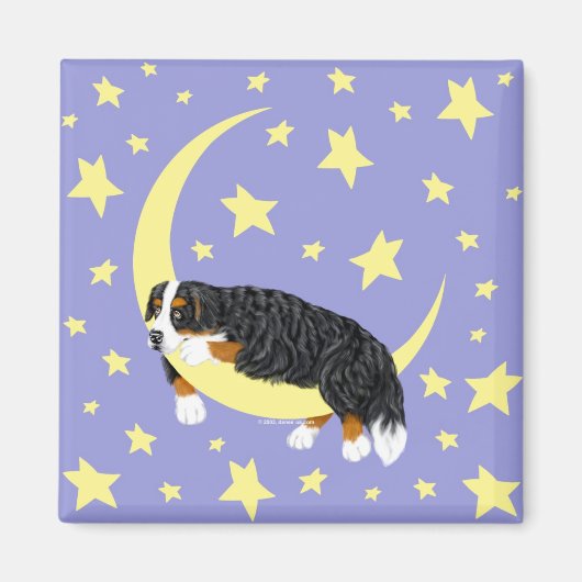Bernese Mountain Dog Twinkle Magnet (Voorkant)