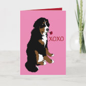 Bernese Mountain Dog Valentijn Day Kaart (Voorkant)