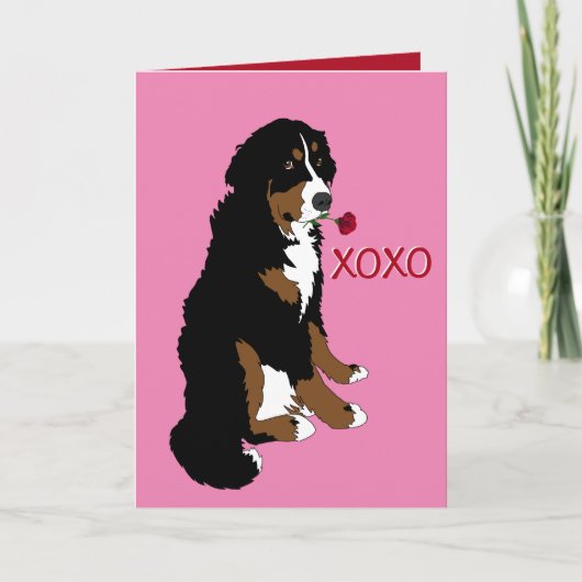 Bernese Mountain Dog Valentijn Day Kaart (Voorkant)