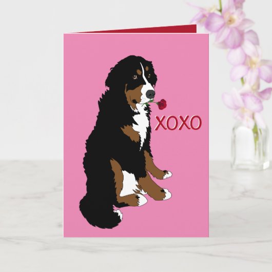 Bernese Mountain Dog Valentijn Day Kaart (Orchidee)