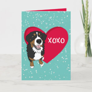 Bernese Mountain Dog Valentijnsdag Bedankkaart