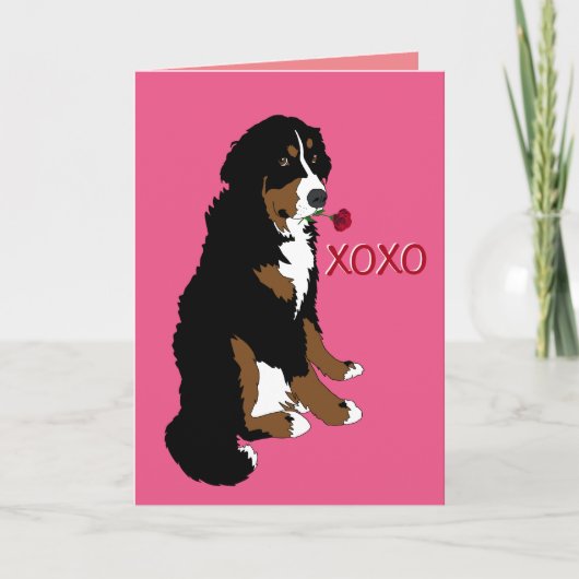 Bernese Mountain Dog Valentijnsdag Kaart (Voorkant)