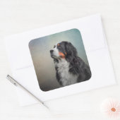 Bernese Mountain Dog Vierkante Sticker (Envelop)