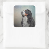 Bernese Mountain Dog Vierkante Sticker (Tas)