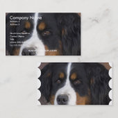 Bernese Mountain Dog Visitekaartje (Voorkant / Achterkant)