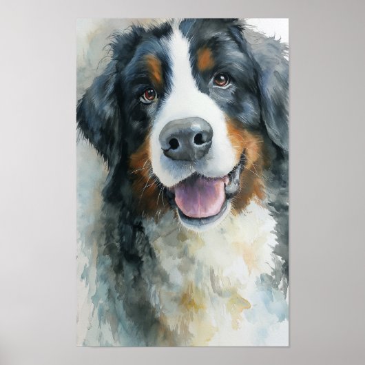 Bernese Mountain dog watercolor portret Poster (Voorkant)