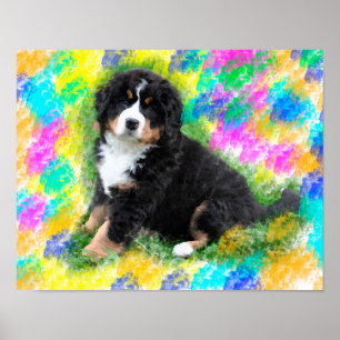 Bernese Mountain Dog Waterverf Art Painting Poster