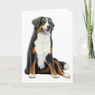 Bernese Mountain Dog Wenskaart Kaart