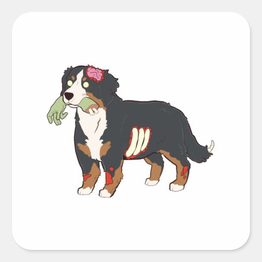 Bernese Mountain Dog Zombie Halloween Vierkante Sticker (Voorkant)