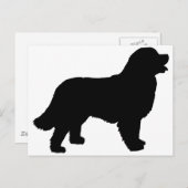 Bernese Mountain Dog (zwart silhouet) Briefkaart (Voorkant / Achterkant)