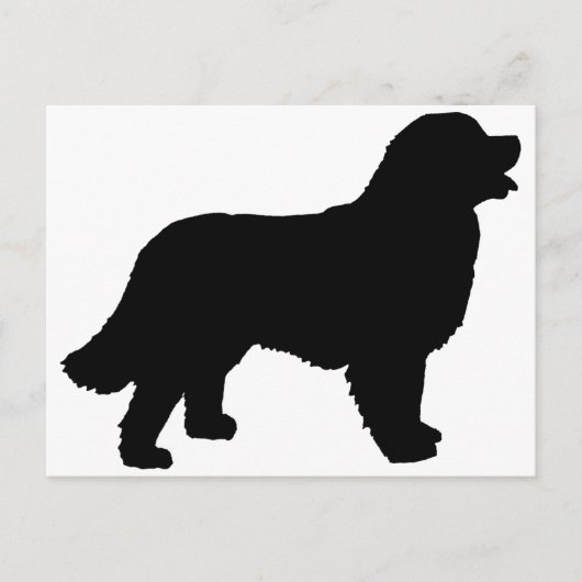 Bernese Mountain Dog (zwart silhouet) Briefkaart (Voorkant)