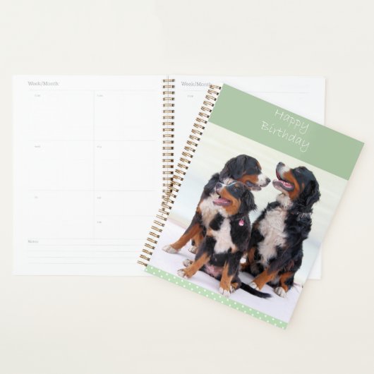 Bernese Mountain Dogs Happy Birthday Planner (Display)