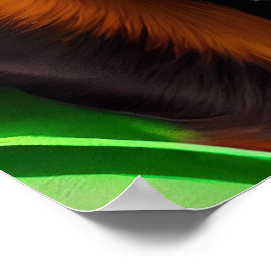 Bernese Mountain Driving Bike St. Patrick's Day Poster (Hoek)