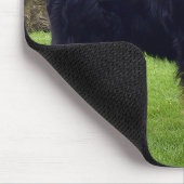 Bernese Mountain-muismat Muismat (Hoek)