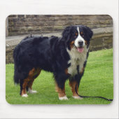 Bernese Mountain-muismat Muismat (Voorkant)