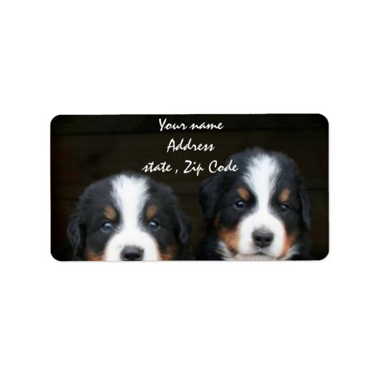 Bernese Mountain puppies adreslabel Etiket (Voorkant)