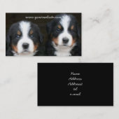 Bernese Mountain puppies visitekaartje (Voorkant / Achterkant)