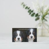 Bernese Mountain puppies visitekaartje (Staand voorkant)