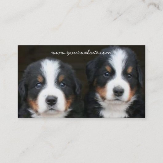 Bernese Mountain puppies visitekaartje (Voorkant)