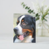 Bernese Mountain Puppy Briefkaart (Staand voorkant)